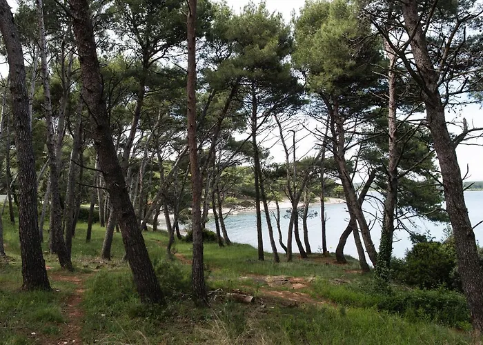 Erks * 프레멘투라