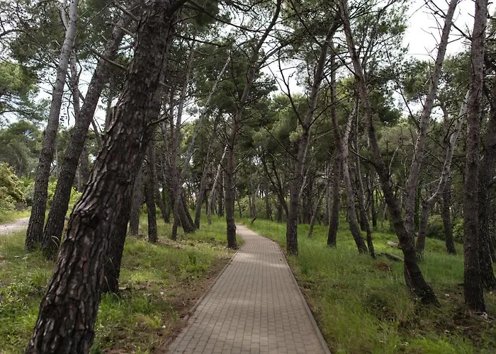 Erks * 프레멘투라